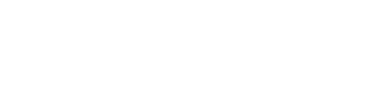 4ecom partner logo